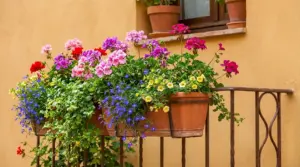 Fioriere sul balcone con gerani rosa e rossi e fiori blu e gialli, in vasi di terracotta su ringhiera